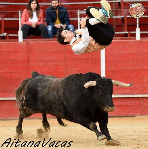 Alpedrete recortadores 18 (3)