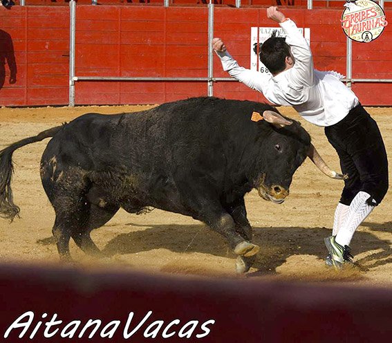 Alpedrete recortadores 18 (4)