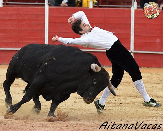 Alpedrete recortadores 18 (6)