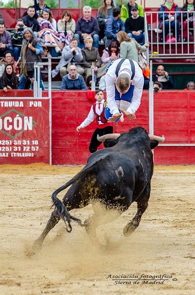 Alpedrete-recortadores-18-(16)