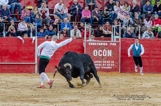 Alpedrete-recortadores-18-(26)