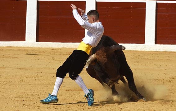 calasparra-recortadores-12