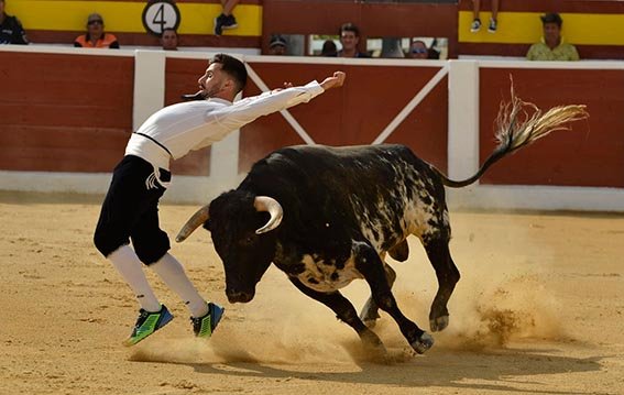 calasparra-recortadores-13