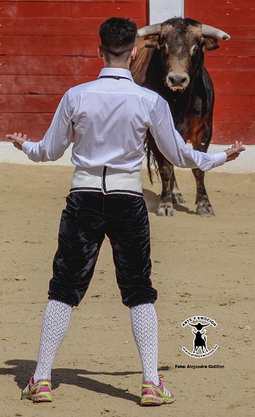 calasparra-recortadores-19