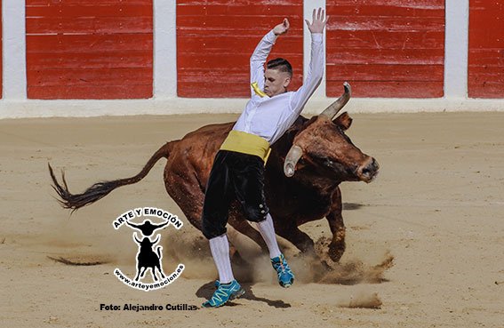 calasparra-recortadores-20