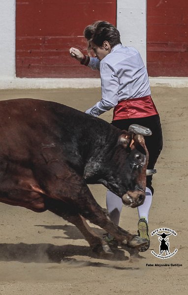 calasparra-recortadores-22