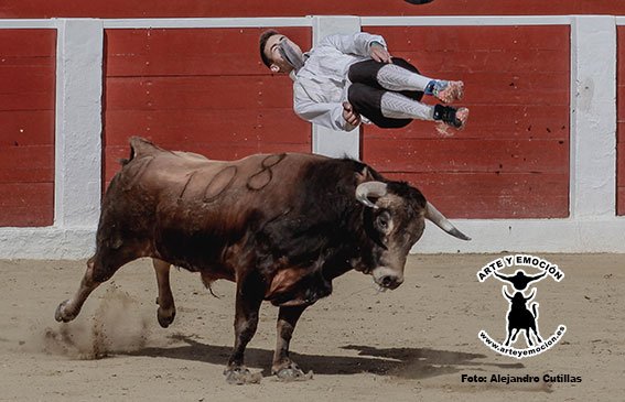 calasparra-recortadores-23