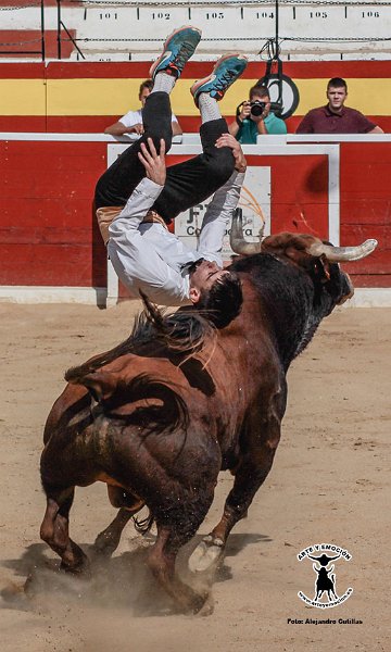 calasparra-recortadores-24