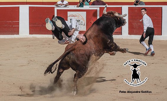 calasparra-recortadores-25