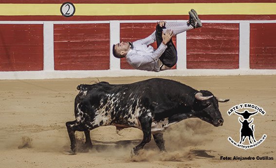 calasparra-recortadores-26