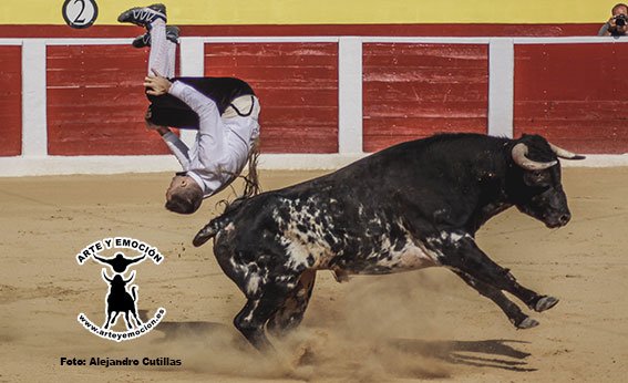 calasparra-recortadores-27