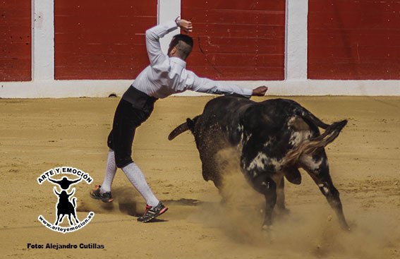 calasparra-recortadores-29