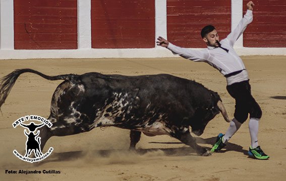 calasparra-recortadores-32