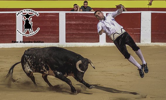 calasparra-recortadores-33