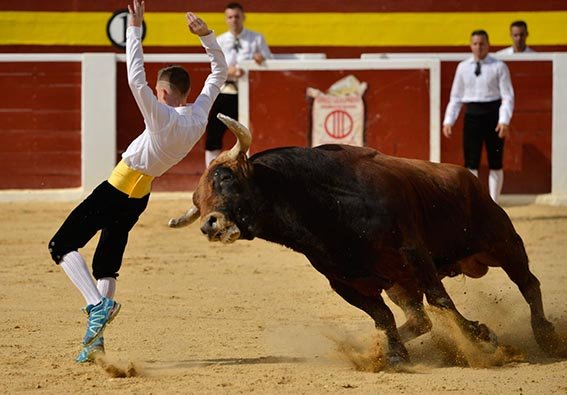 calasparra-recortadores-6