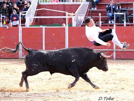 Las-Matas-recortadores-2