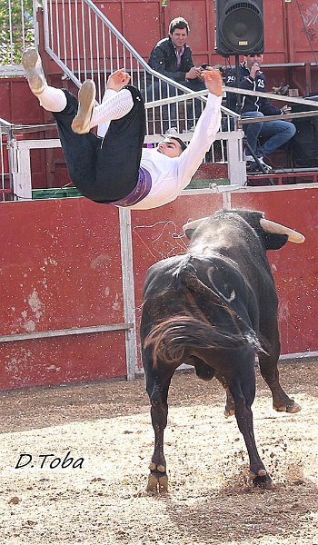 Las-Matas-recortadores-7