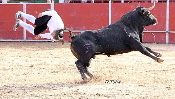 Las-Matas-recortadores-9