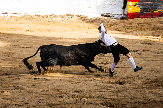 carboneras-recortadores-11