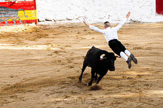 carboneras-recortadores-13