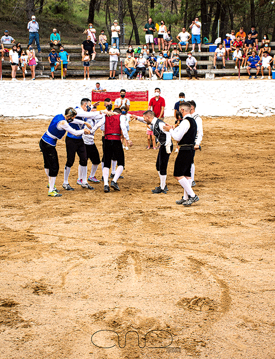 carboneras-recortadores-18