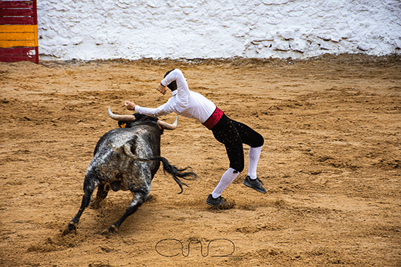 carboneras-recortadores-4