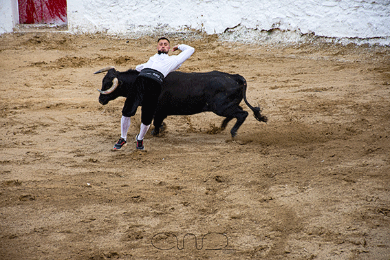 carboneras-recortadores-6