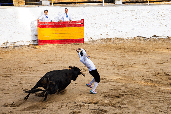 carboneras-recortadores-7