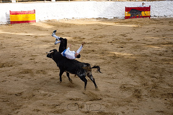 carboneras-recortadores-10