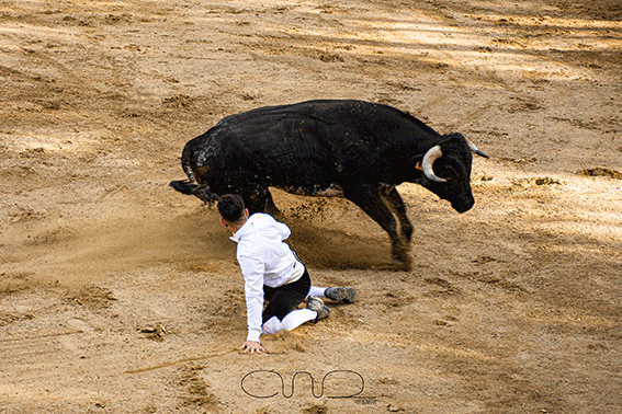 carboneras-recortadores-12