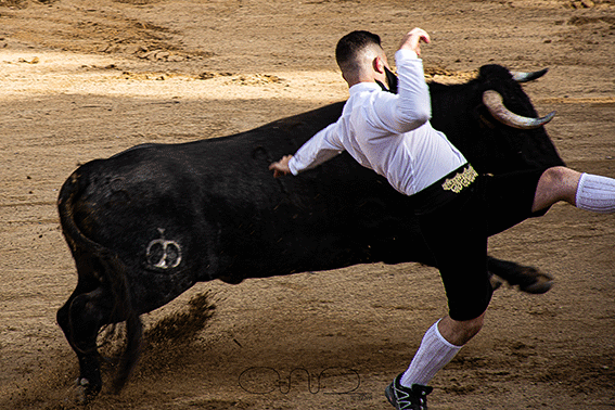 carboneras-recortadores-14