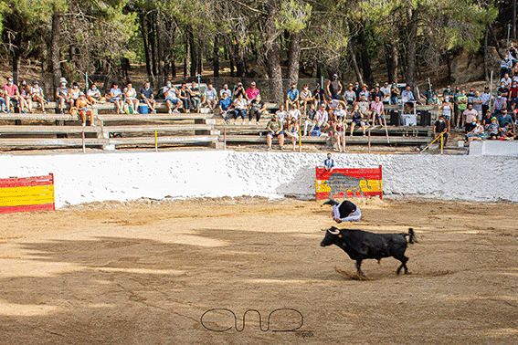 carboneras-recortadores-15