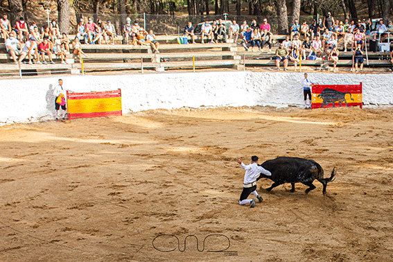 carboneras-recortadores-16