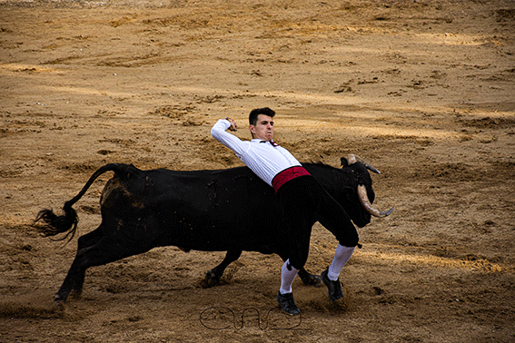 carboneras-recortadores-2