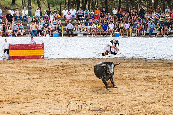 carboneras-recortadores-3