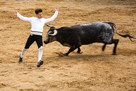 carboneras-recortadores-5