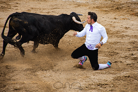 carboneras-recortadores-8