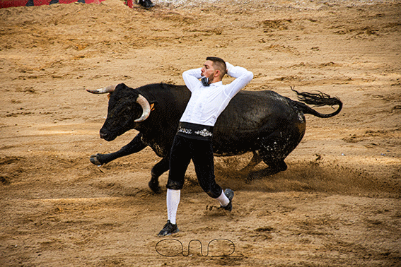 carboneras-recortadores-9