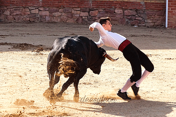 landete-recortadores-11