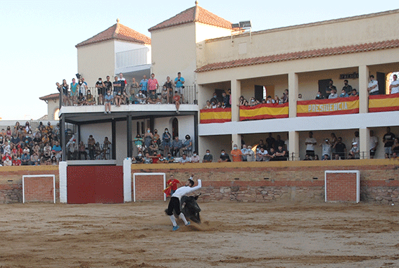 landete-recortadores-12