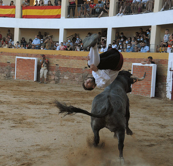 landete-recortadores-15