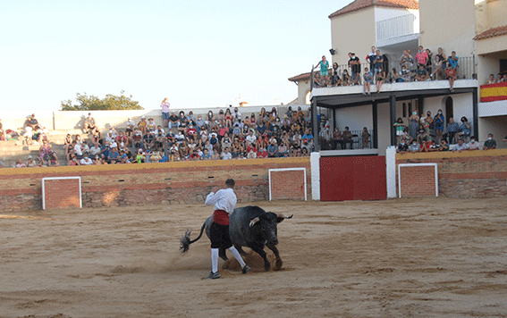 landete-recortadores-16