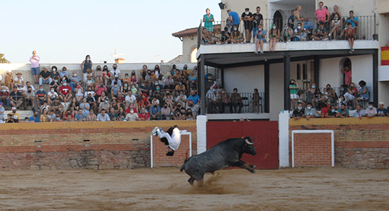 landete-recortadores-17