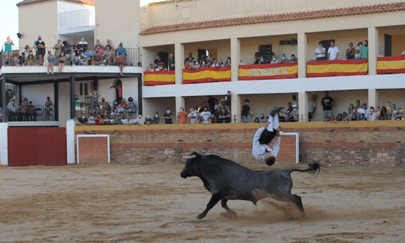 landete-recortadores-19