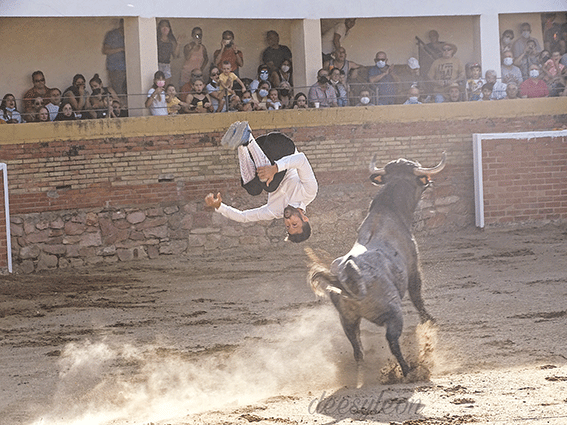 landete-recortadores-27