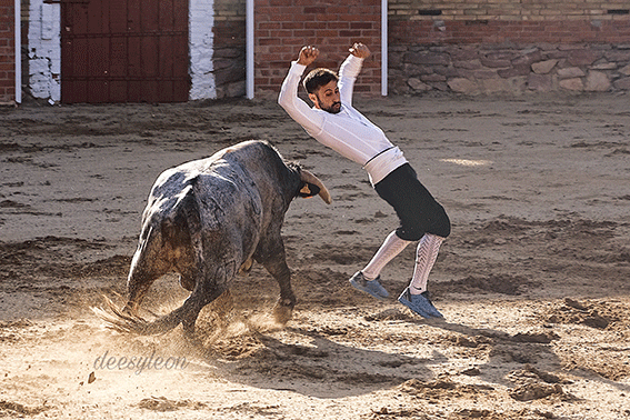 landete-recortadores-28