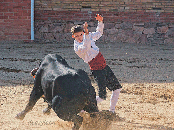 landete-recortadores-7