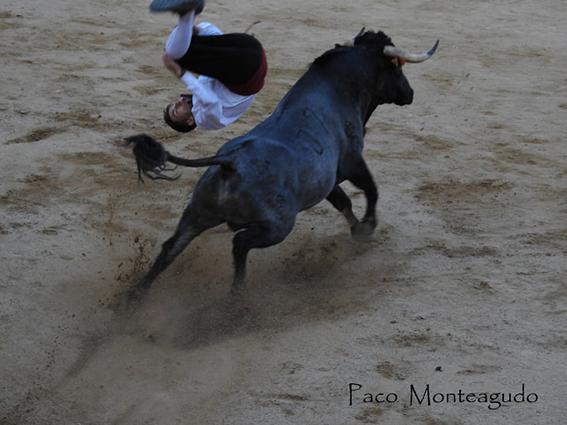 landete-recortadores-final-10