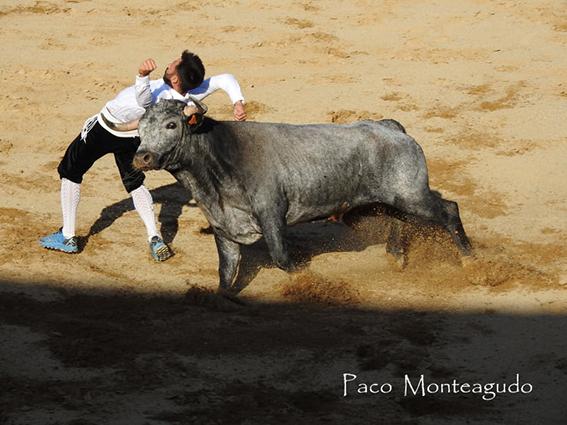 landete-recortadores-final-4