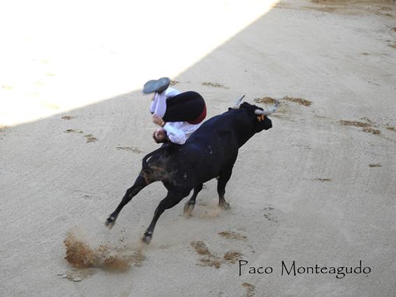 landete-recortadores-final-9